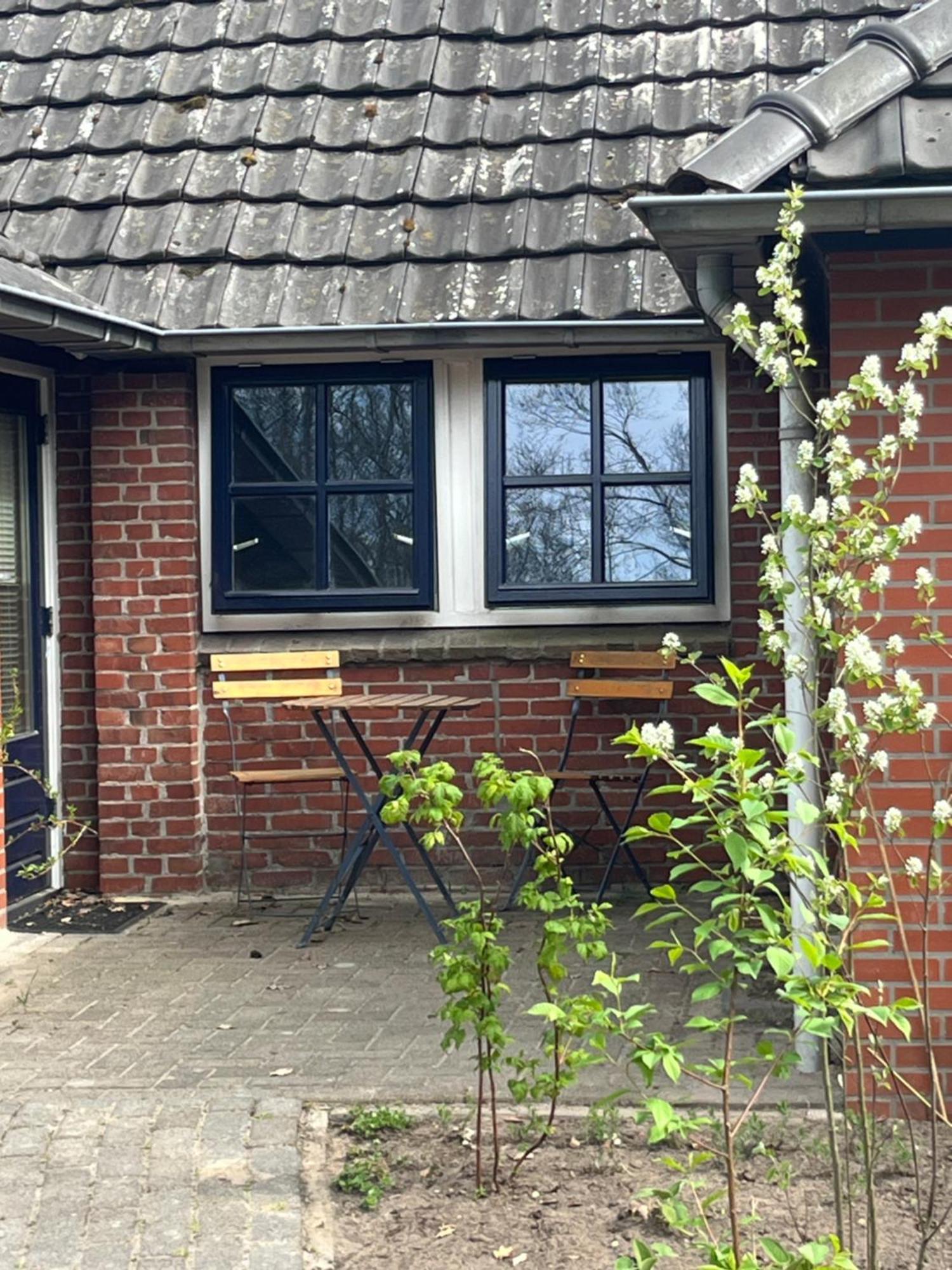 Hoeve Veganza B&B Vlagtwedde Ngoại thất bức ảnh